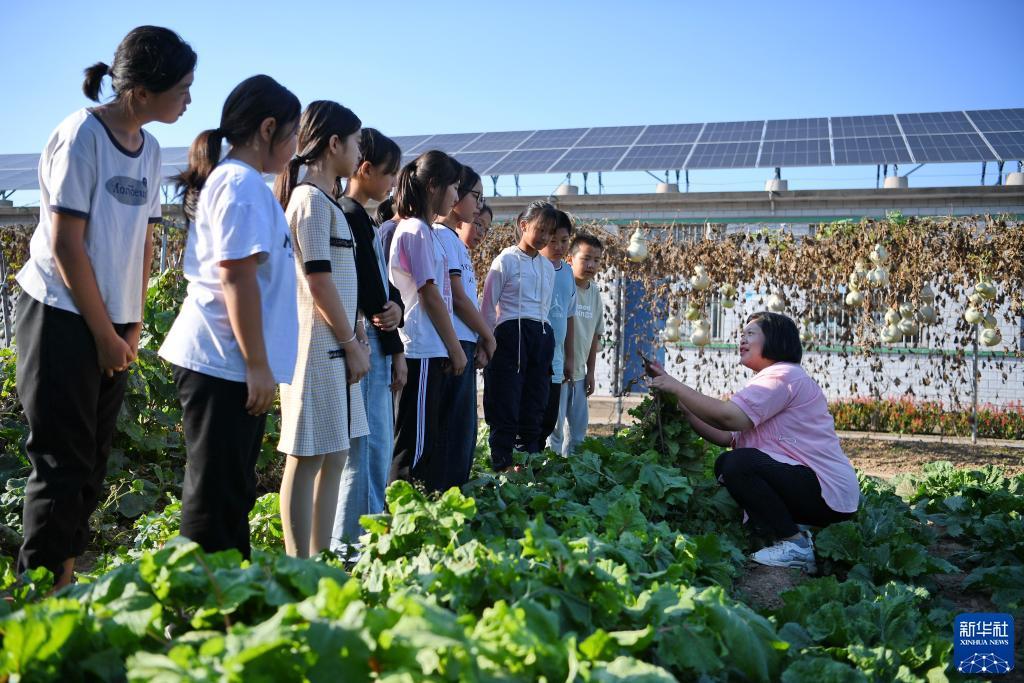 公博评级公司